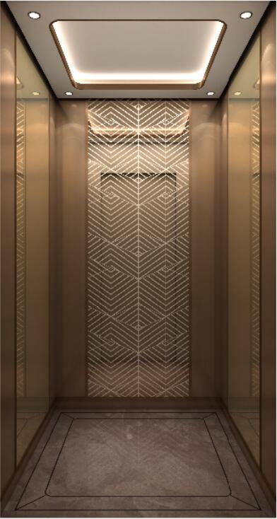 Home Elevator YLT-HL-009