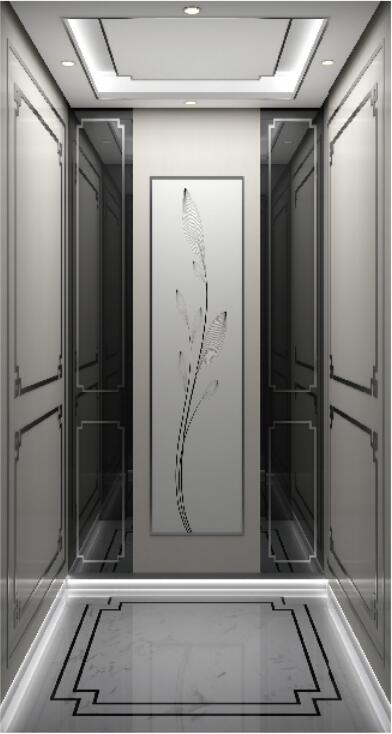Home Elevator YLT-HL-012