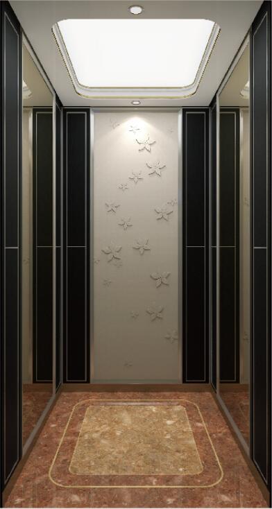 Home Elevator YLT-HL-002